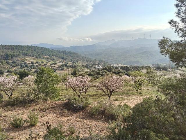 Casa Rural en venta en Ribera d'Ebre, Catalunya