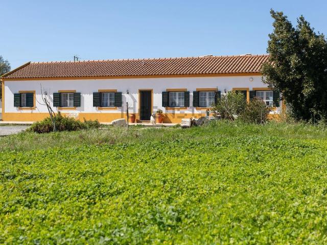 Quinta venda em Figueira da Vergonha, Montijo