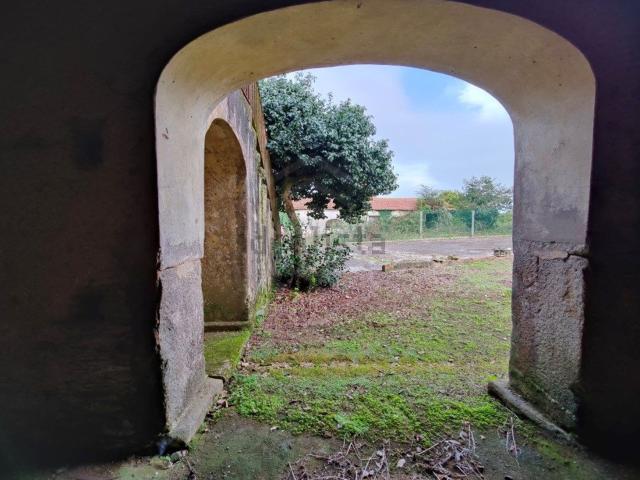 Quinta venda em Porto Tonce, Estarreja