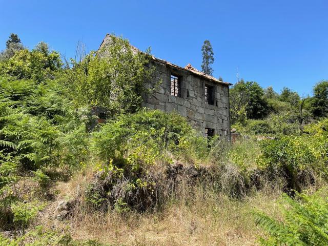 Quinta venda em Avô, Paraíso