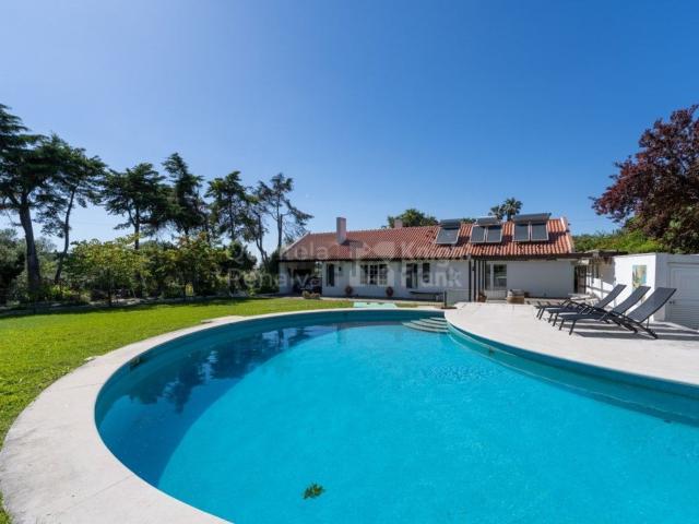 Quinta venda em Azeitão (São Lourenço e São Simão), Setúbal