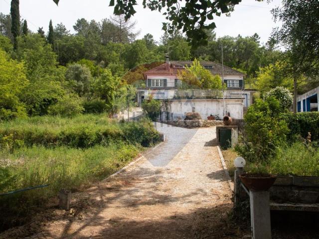 Quinta venda em Azeitão (São Lourenço e São Simão), Setúbal