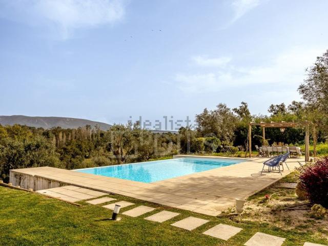 Quinta venda em Azeitão (São Lourenço e São Simão), Setúbal
