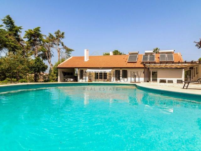 Quinta venda em Azeitão (São Lourenço e São Simão), Setúbal