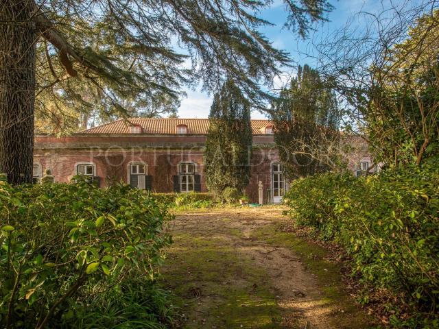 Quinta venda em Azeitão (São Lourenço e São Simão), Setúbal