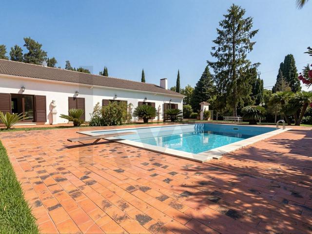 Quinta venda em Azeitão (São Lourenço e São Simão), Setúbal