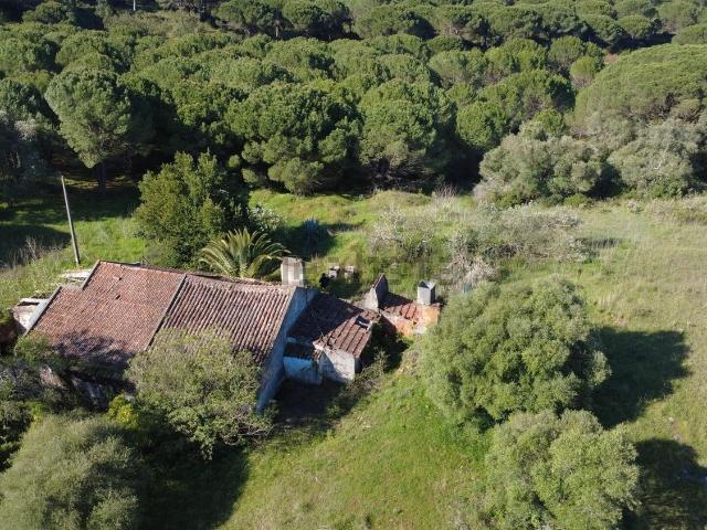 Quinta venda em Azeitão (São Lourenço e São Simão), Setúbal