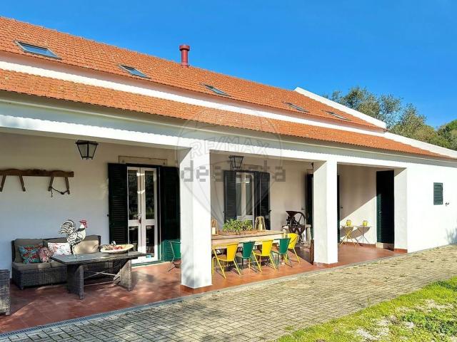 Quinta venda em Azeitão (São Lourenço e São Simão), Setúbal