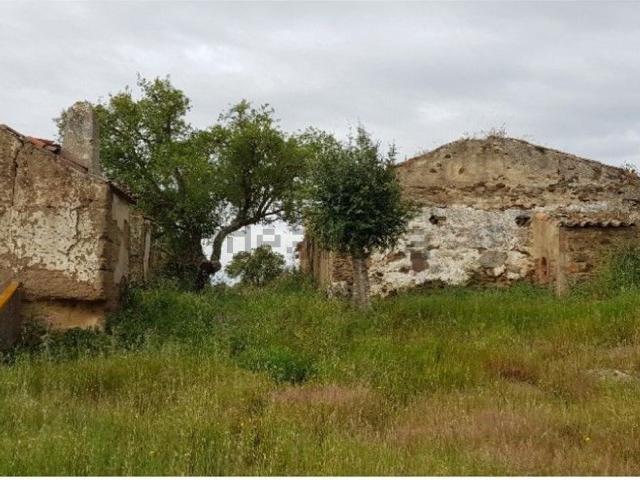 Quinta venda em Azinheira Dos Barros, Azinheira dos Barros e São Mamede do Sádão