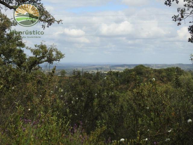 Quinta venda em Grândola, Setúbal