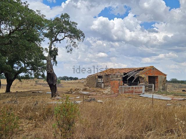 Quinta venda em Grândola, Setúbal