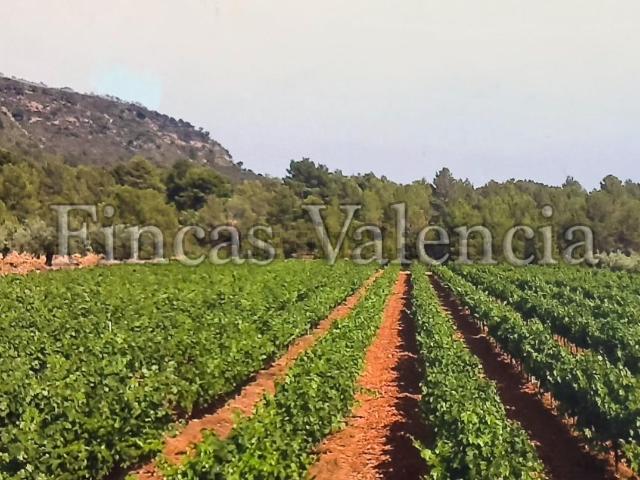 Casa Rural en venta en l'Alt Palància, Valencia