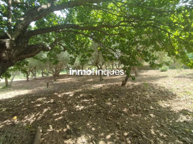 Casa Rural en venta en Noguera, Catalunya