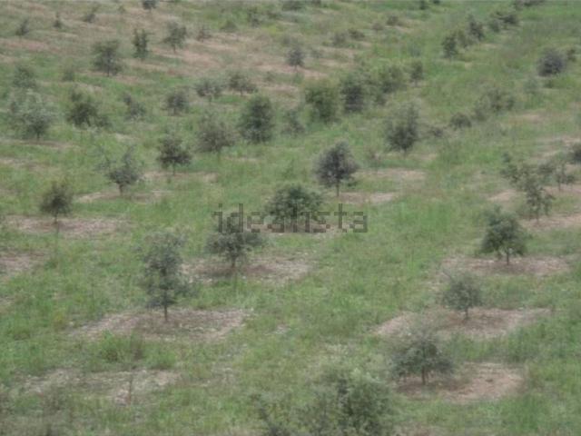 Casa Rural en venta en Cregenzán, Barbastro