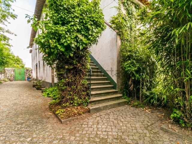 Quinta venda em Barcelinhos, Arcozelo