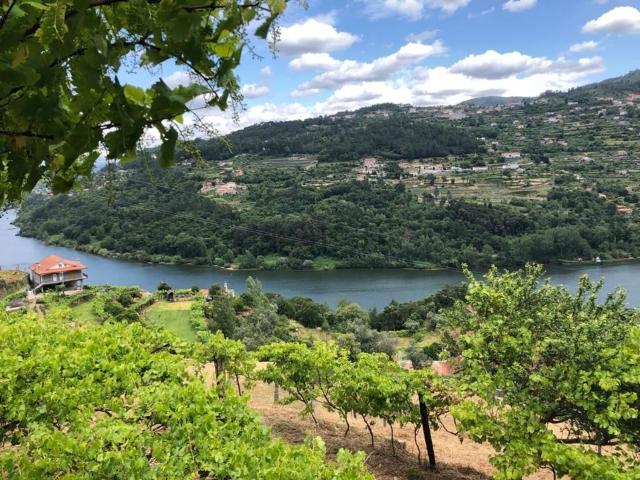 Quinta venda em Magrelos, São Lourenço Do Douro