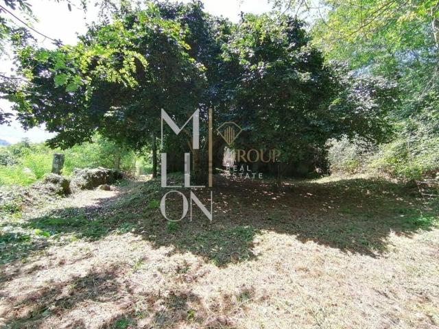 Quinta venda em Magrelos, São Lourenço Do Douro