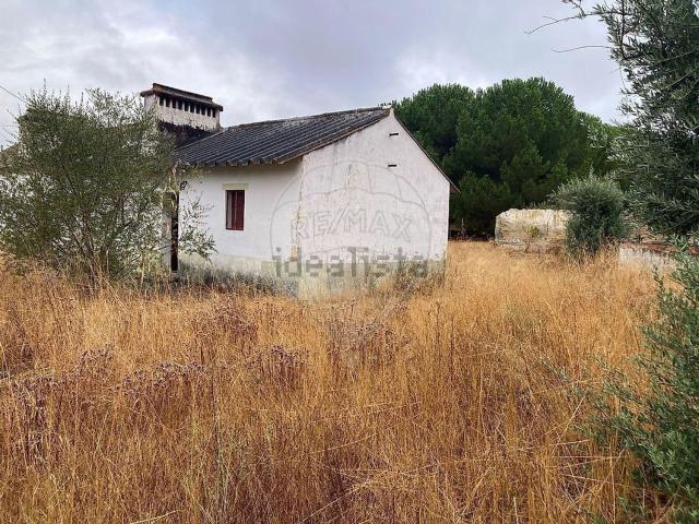 Quinta venda em Abrantes, Santarém