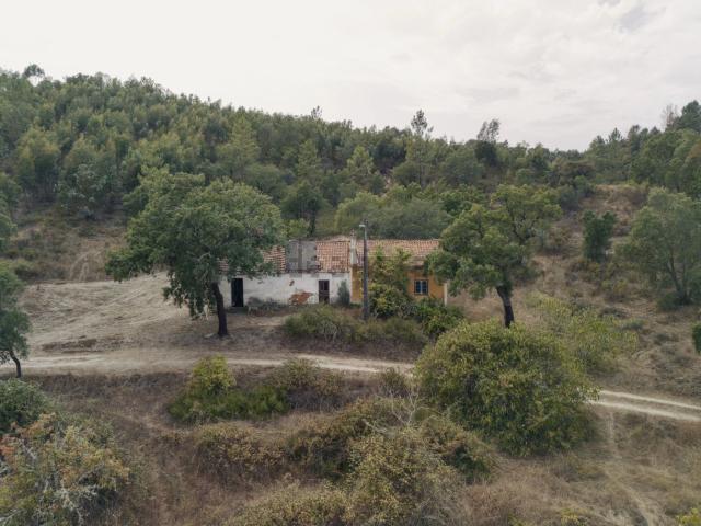 Quinta venda em Bemposta, Abrantes