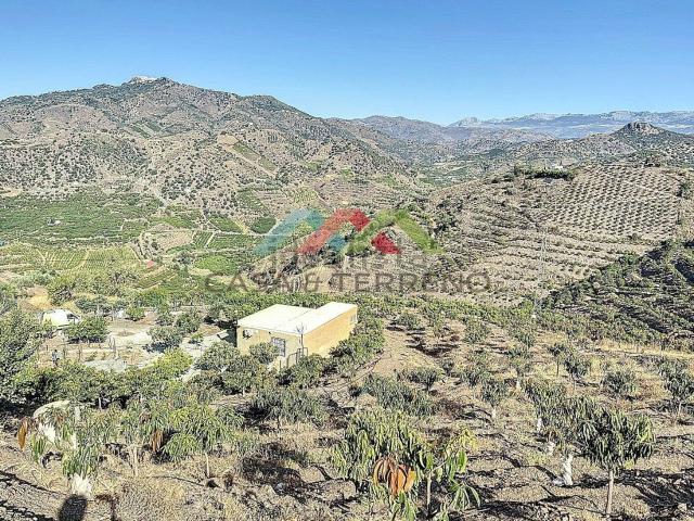 Casa Rural en venta en Benamargosa