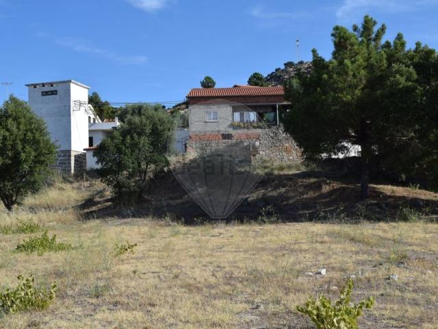 Quinta venda em Bendada, Bendada