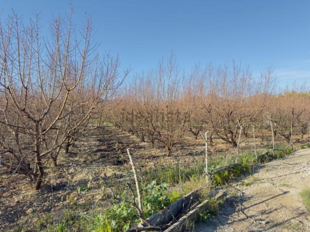 Casa Rural en venta en la Marina Alta, Valencia