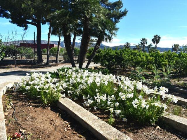 Casa Rural en venta en la Marina Alta, Valencia