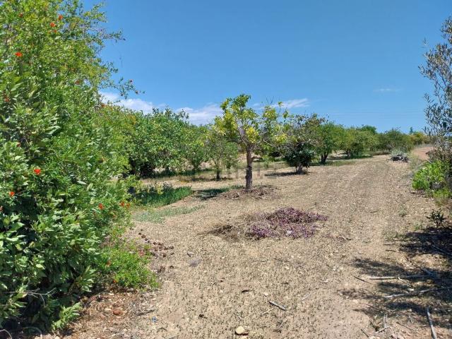 Casa Rural en venta en Llevant, Benidorm