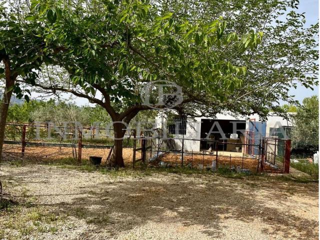 Casa Rural en venta en la Plana Alta, Valencia