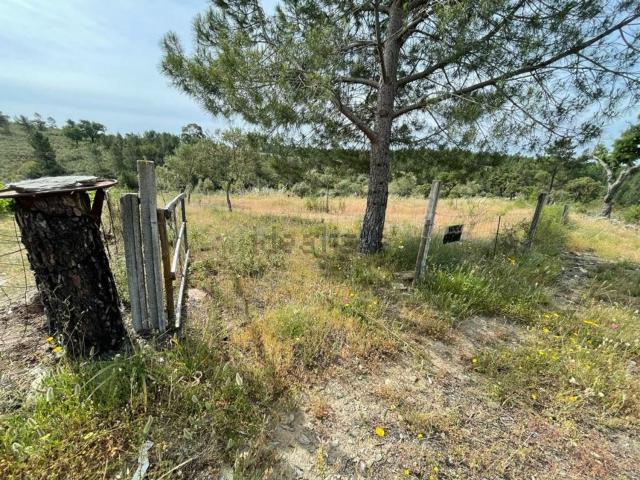 Quinta venda em Castelo Branco