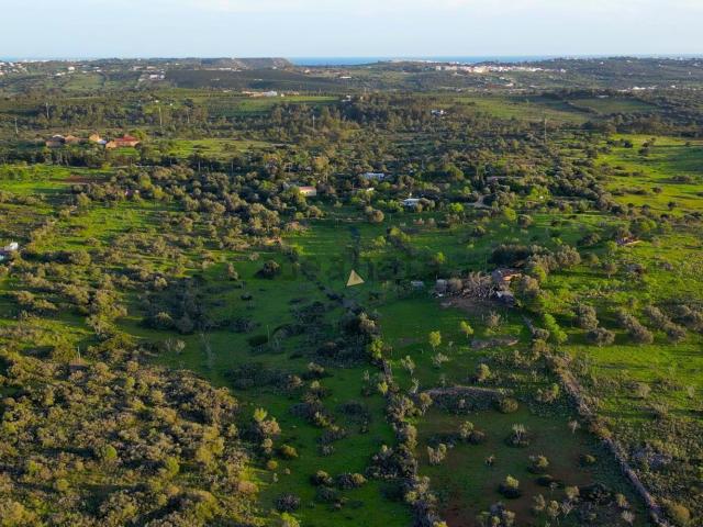 Quinta venda em Barão de São João, Lagos