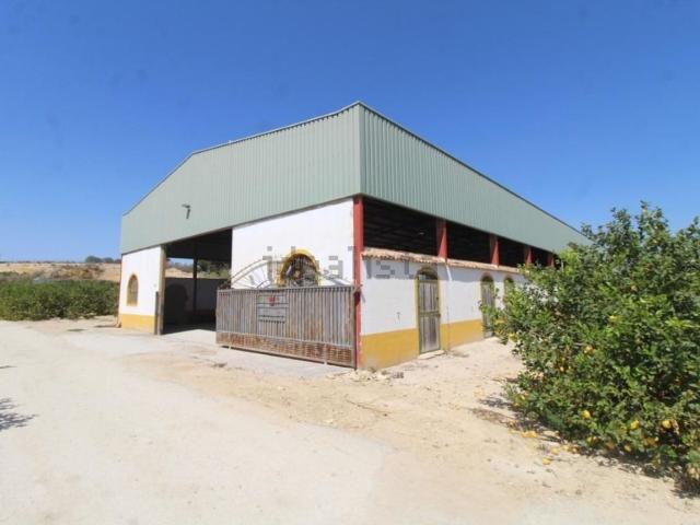 Casa Rural en venta en Bigastro