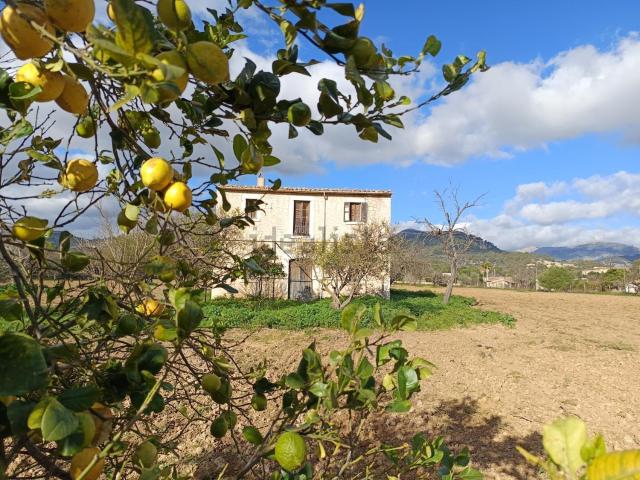 Casa Rural en venta en Binissalem