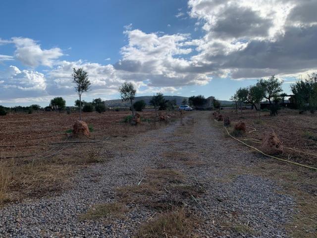 Casa Rural en venta en Raiguer, Baleares
