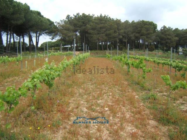 Casa Rural en venta en Sa Maçaneda, la Selva