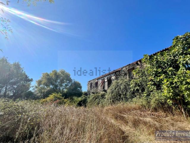 Quinta venda em Castelo Branco, Boidobra