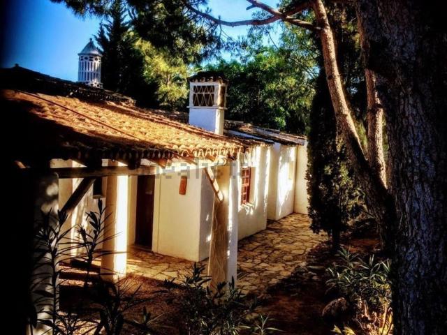 Quinta venda em Fonte de Boliqueime, Loulé