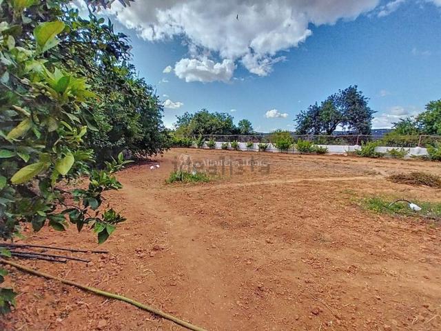 Quinta venda em Maritenda, Boliqueime