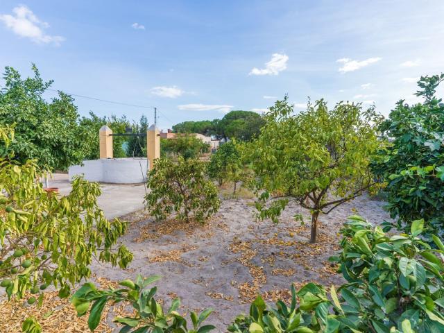 Casa Rural en venta en Huerta del Hambre, Bonares