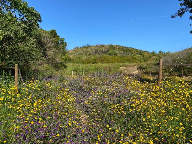 Quinta venda em Aljezur, Faro