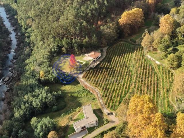 Quinta venda em Bouro (Santa Maria), Amares