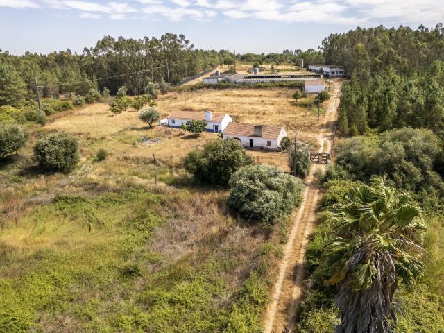 Quinta venda em Coruche, Santarém