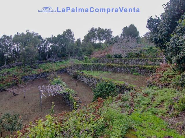 Casa Rural en venta en Tenerife, Las Ledas