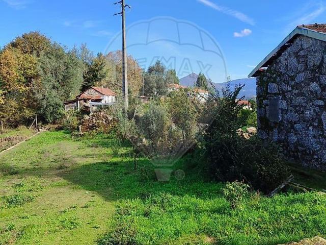 Quinta venda em Celorico De Basto, Braga