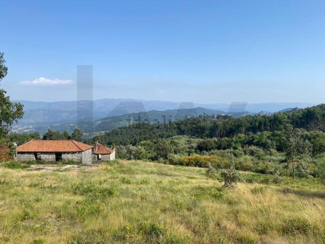 Quinta venda em Monte do Marco, Celorico De Basto