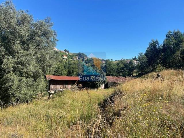 Quinta venda em Monte do Marco, Celorico De Basto