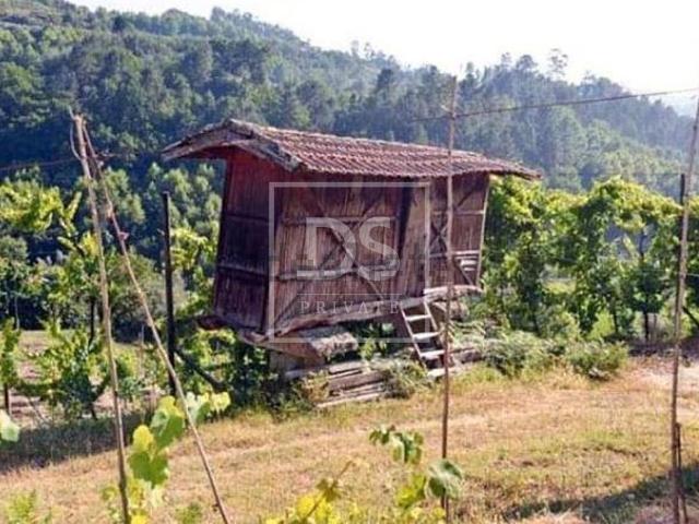 Quinta venda em Celorico De Basto, Braga