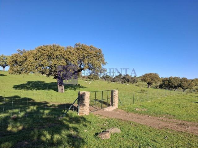 Casa Rural en venta en Brozas, Extremadura