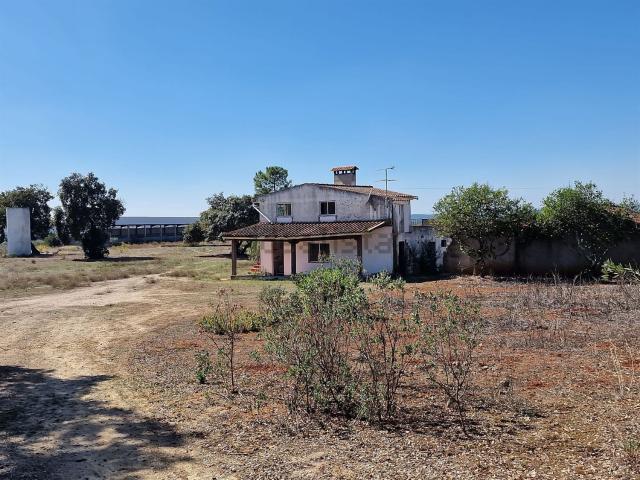Quinta venda em Alcanena, Santarém