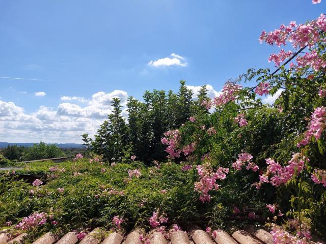 Casa Rural en venta en Búger, Baleares